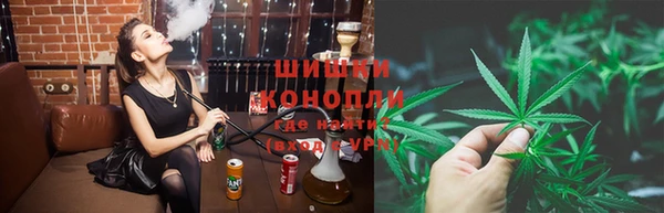 ГАЛЛЮЦИНОГЕННЫЕ ГРИБЫ Новозыбков