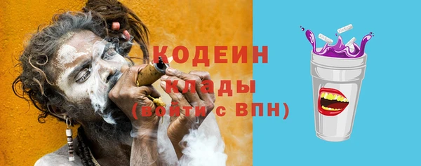 ГАЛЛЮЦИНОГЕННЫЕ ГРИБЫ Новозыбков