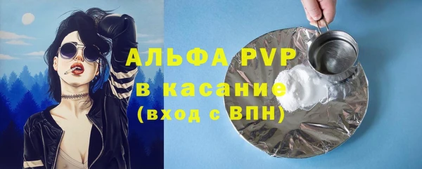 ГАЛЛЮЦИНОГЕННЫЕ ГРИБЫ Новозыбков