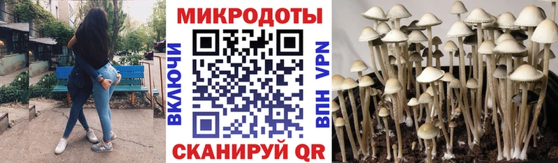Галлюциногенные грибы ЛСД  Купить где  Заринск 